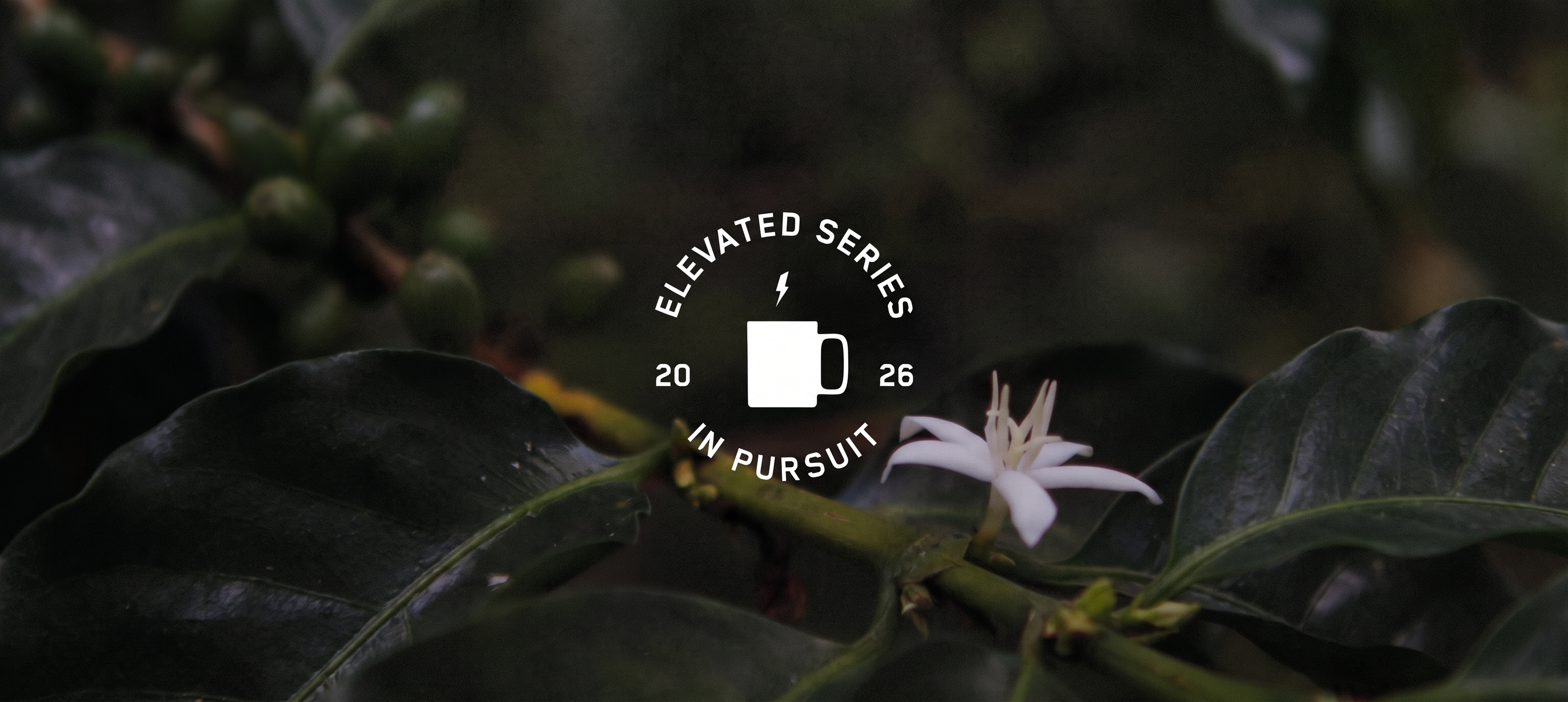 In Pursuit: Meet the Producers Behind Our Final Elevated Series of 2026