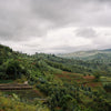 Kayanza, Burundi coffee farm