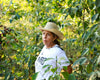 Natural Pacamara Nejapa