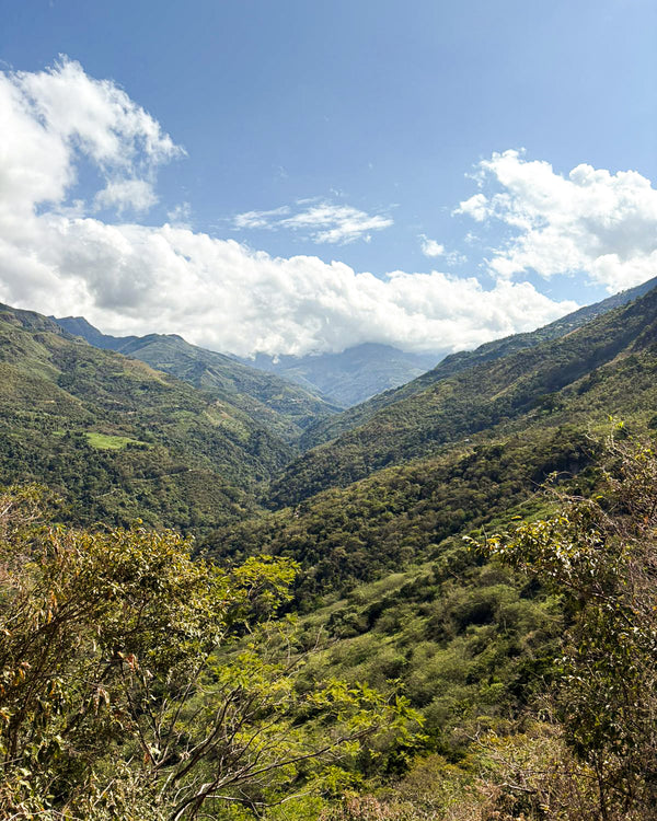 Yulisa Carhuallocllo