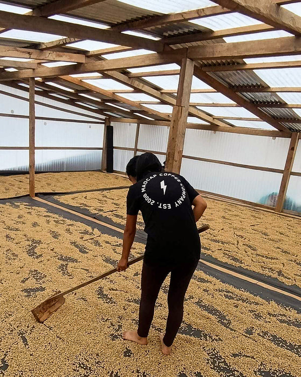 Yulisa Carhuallocllo