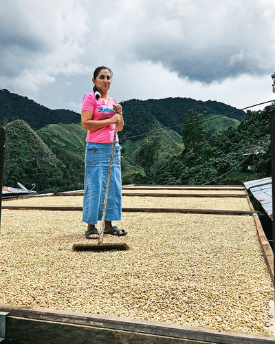 Yenni Reinoso (WS)