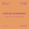 Carlos Guamanga