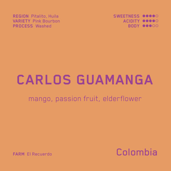 Carlos Guamanga