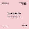 Day Dream infographic
