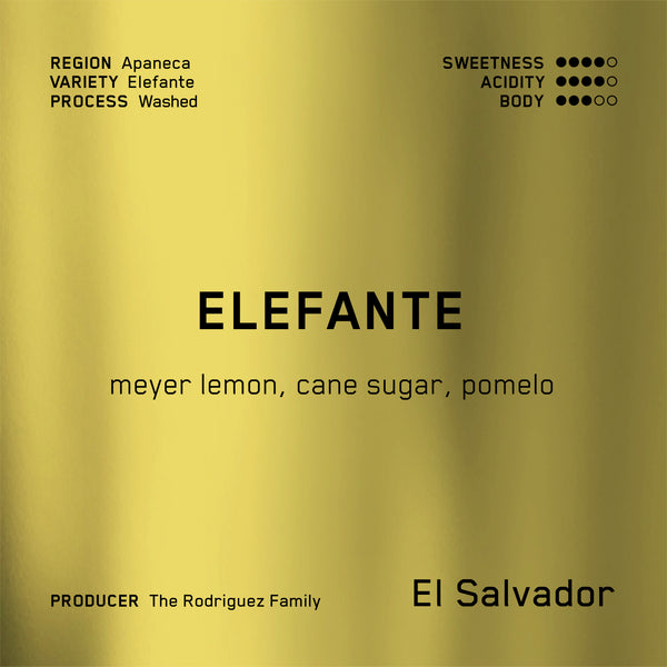 Elefante