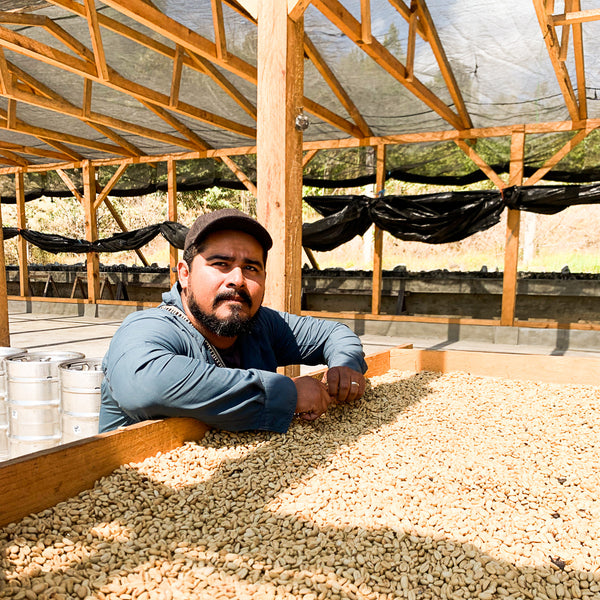 Finca Santa Cruz (WS)