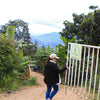 Juliana Guevara Java (WS)