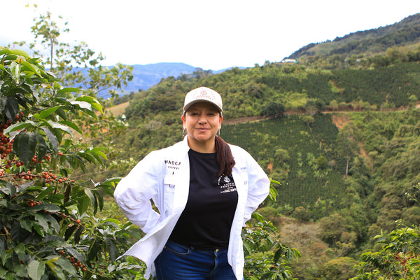 Juliana Guevara Java (WS)