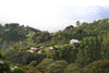 Juliana Guevara Java (WS)