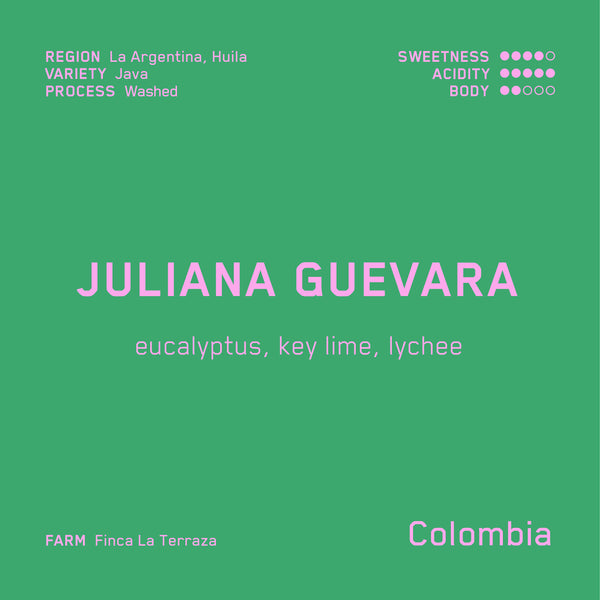 Juliana Guevara Java (WS)
