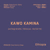 Kawo Kamina