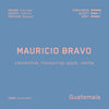 Mauricio Bravo (WS)