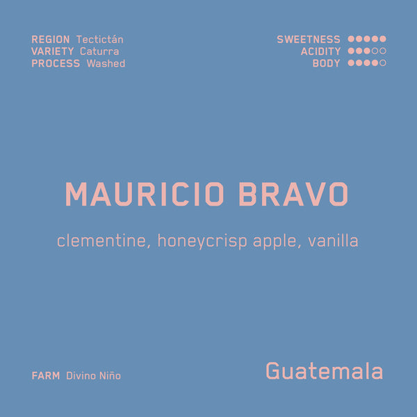 Mauricio Bravo (WS)
