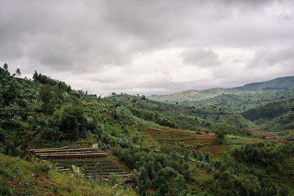 Gitwe (WS)
